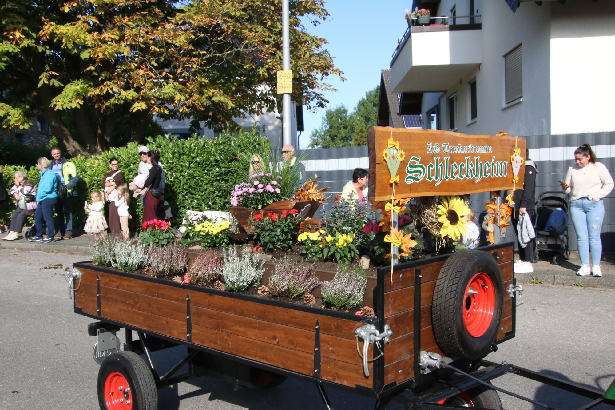 Geschmückter Erntewagen beim Erntedankzug Walheim 2026.