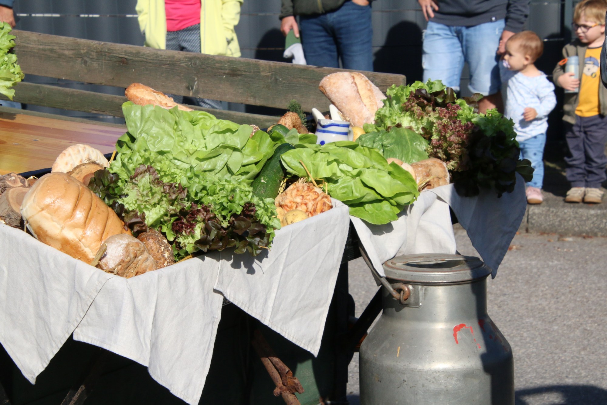 Kohlköpfe und Milchkannen auf einem Wagen beim Erntedankzug Walheim 2026.