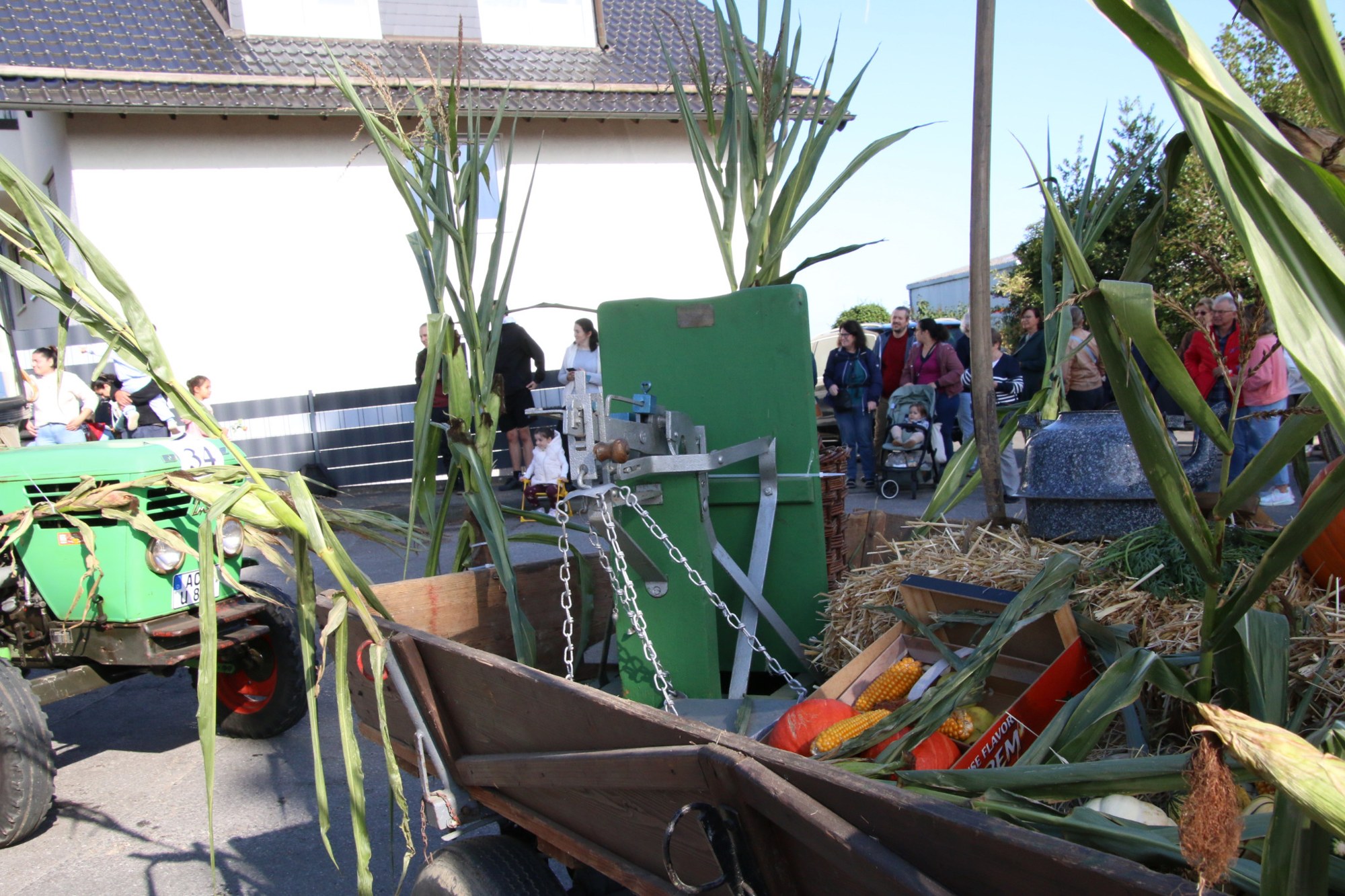 Maisstängel und Holzaufbauten auf einem Wagen beim Erntedankzug Walheim 2026.