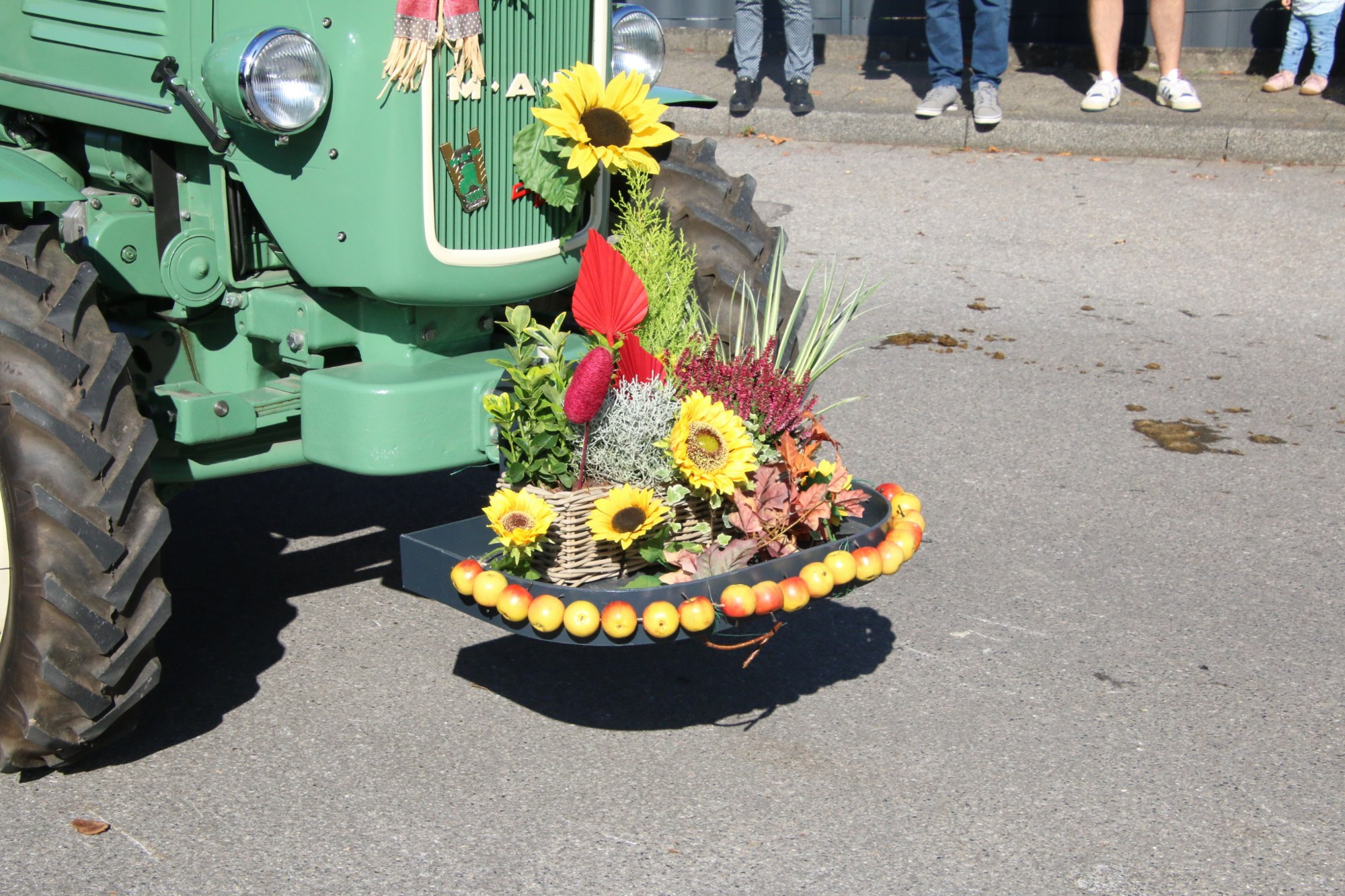 Sonnenblumen und Erntegaben am Traktor beim Erntedankzug Walheim 2026.